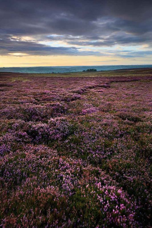 nidderdale from high crag ridge iv.jpg